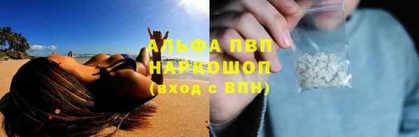 прущий лед Богданович