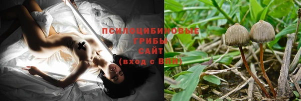 бутират Богородицк