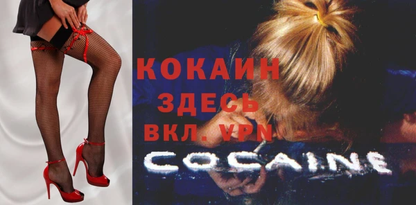 прущий лед Богданович