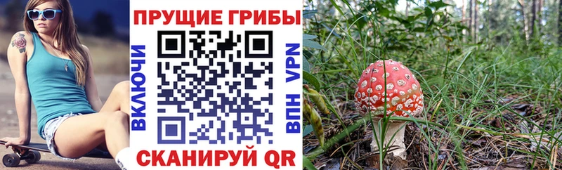 Купить где Североморск Галлюциногенные грибы ЛСД